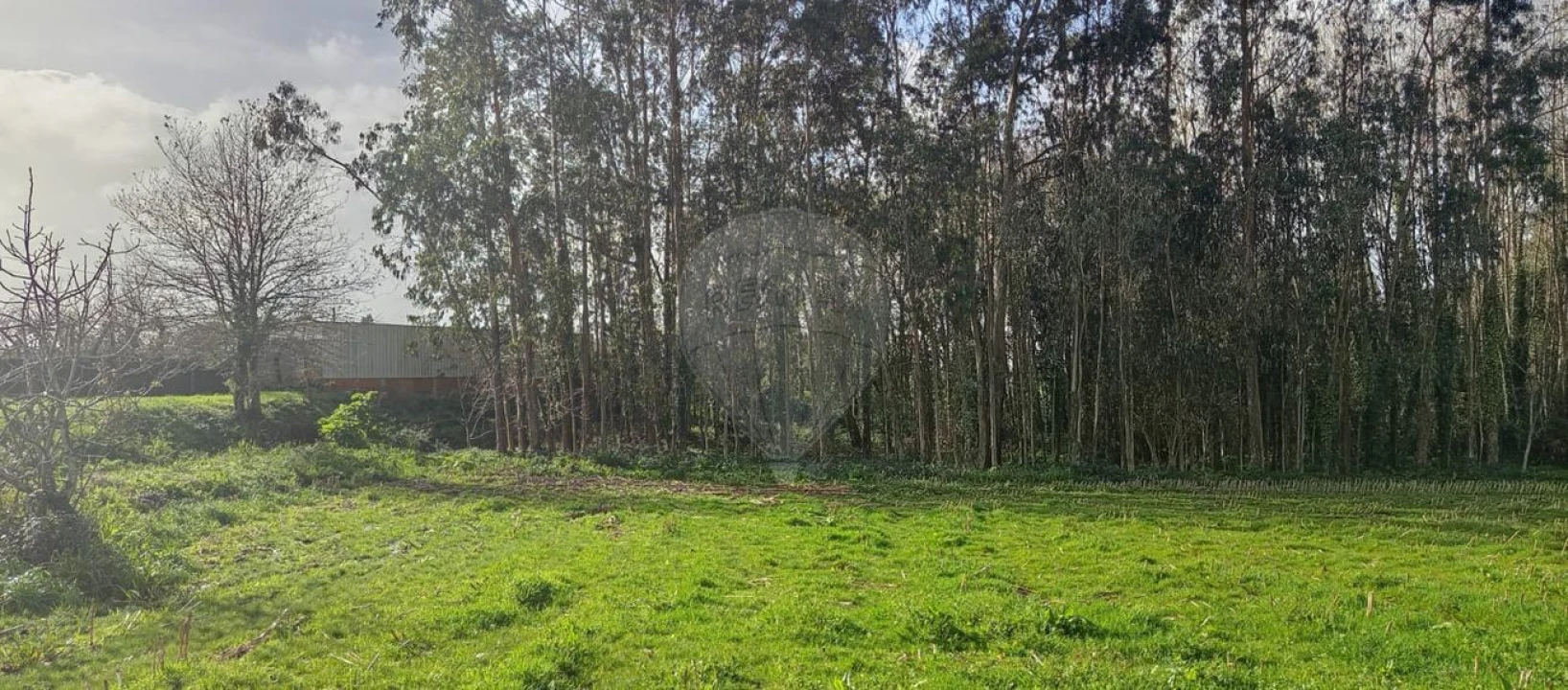 Terreno para Venda em Santa Maria da Feira, Travanca, Sanfins e Espargo Foto 4