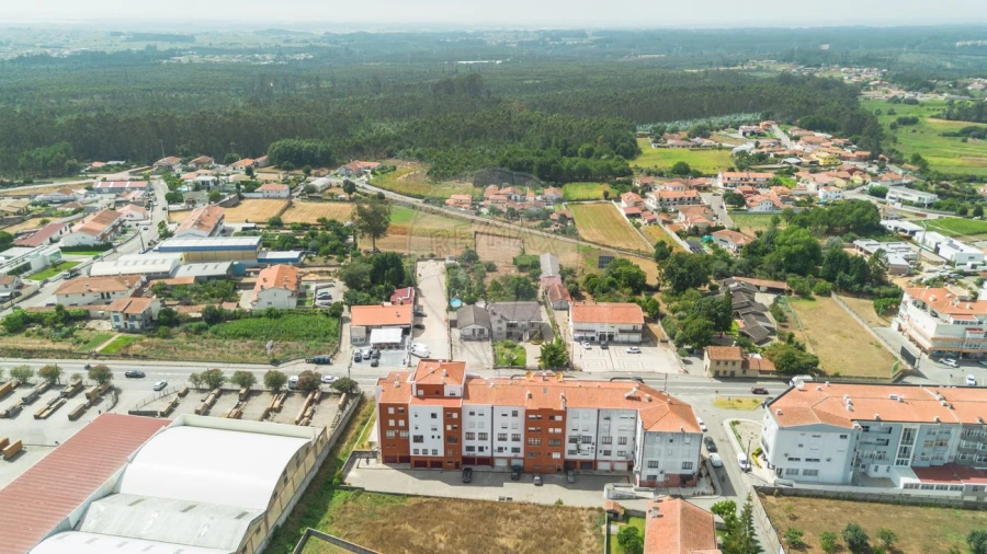 Moradia T3 para Venda em Branca Foto 4