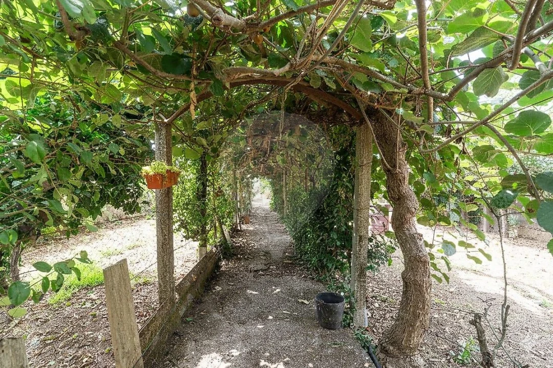 Moradia T3 para Venda em Branca Foto 15