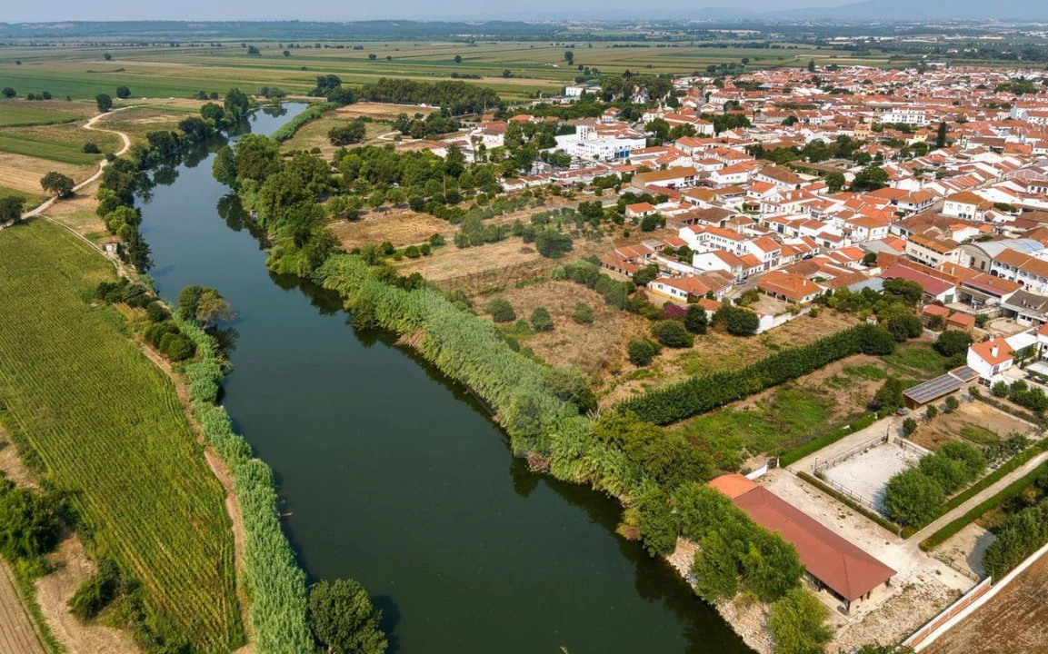 Moradia T3 para Venda em Golegã Foto 37