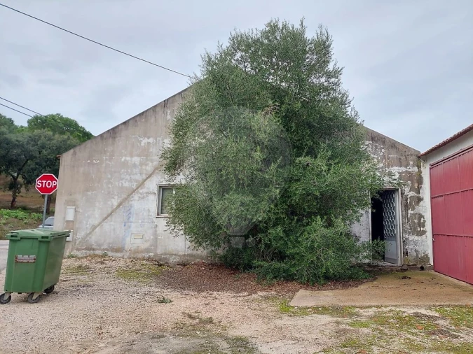 Armazém para Venda em São Jose da Lamarosa Foto 9