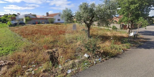 Terreno para Venda em Monte Redondo e Carreira