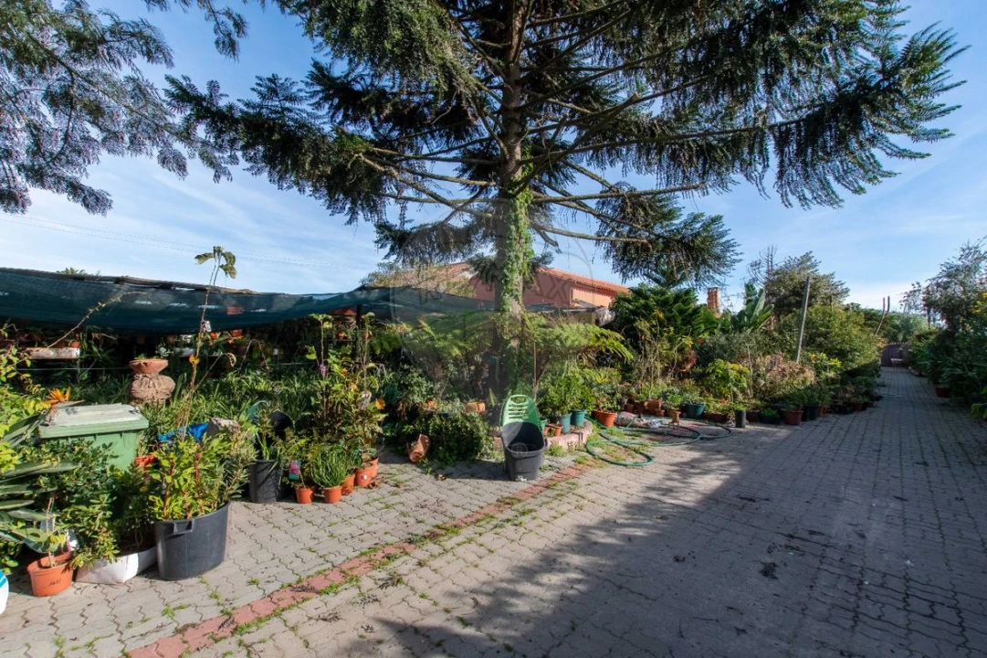 Moradia T4 para Venda em Salvaterra de Magos e Foros de Salvaterra Foto 36