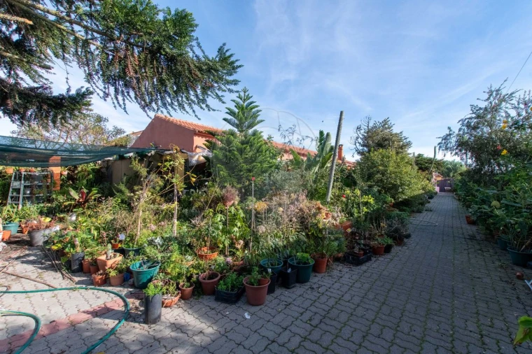 Moradia T4 para Venda em Salvaterra de Magos e Foros de Salvaterra Foto 37