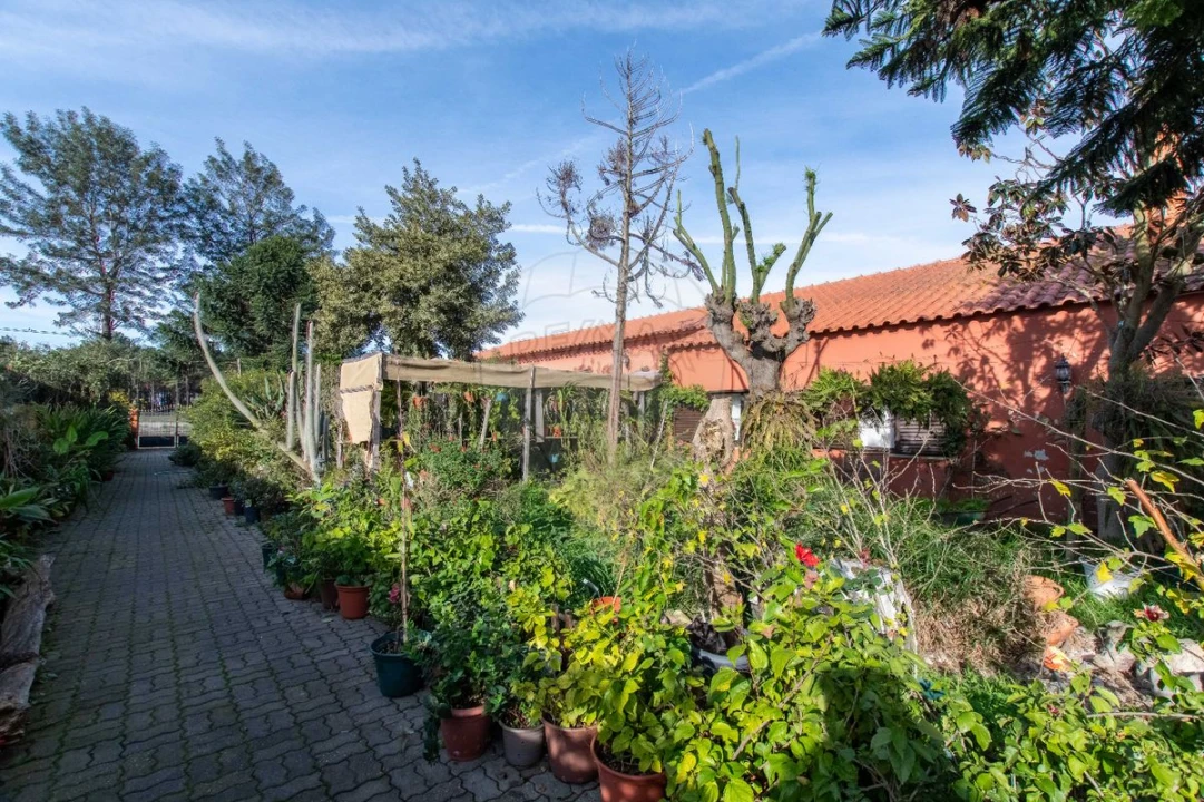 Moradia T4 para Venda em Salvaterra de Magos e Foros de Salvaterra Foto 39