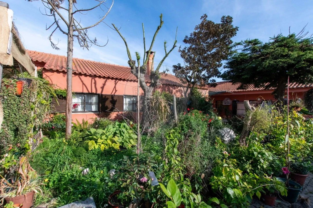 Moradia T4 para Venda em Salvaterra de Magos e Foros de Salvaterra Foto 38