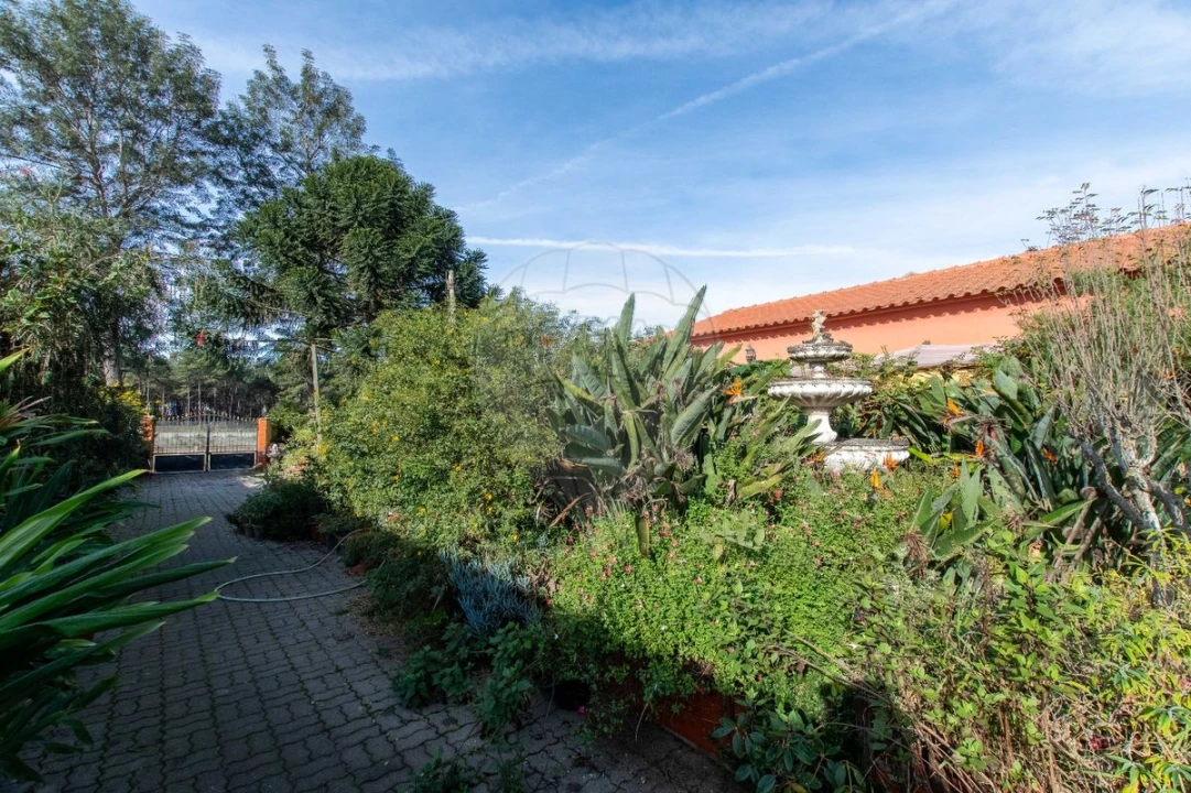 Moradia T4 para Venda em Salvaterra de Magos e Foros de Salvaterra Foto 35