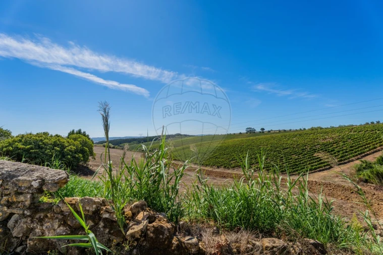 Apartamento T3 para Venda em Vila Verde dos Francos Foto 18