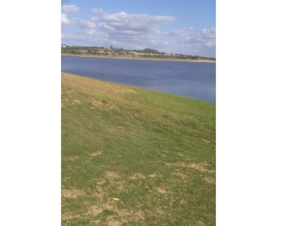 Terreno Agricola ou Rústico para Venda em Montargil Foto 6