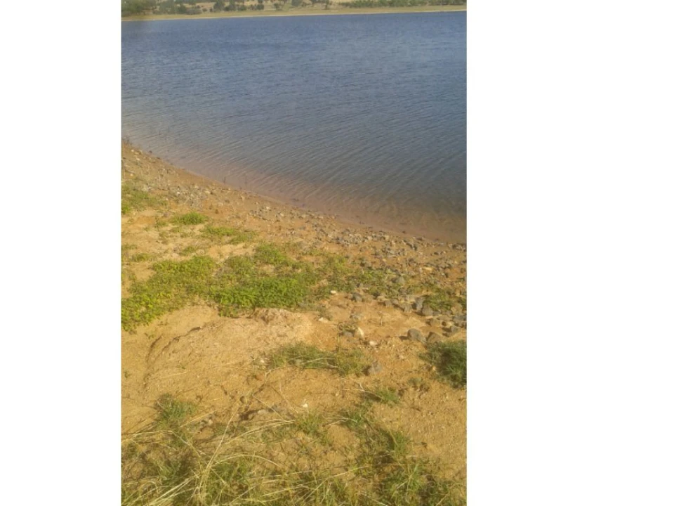 Terreno Agricola ou Rústico para Venda em Montargil Foto 8