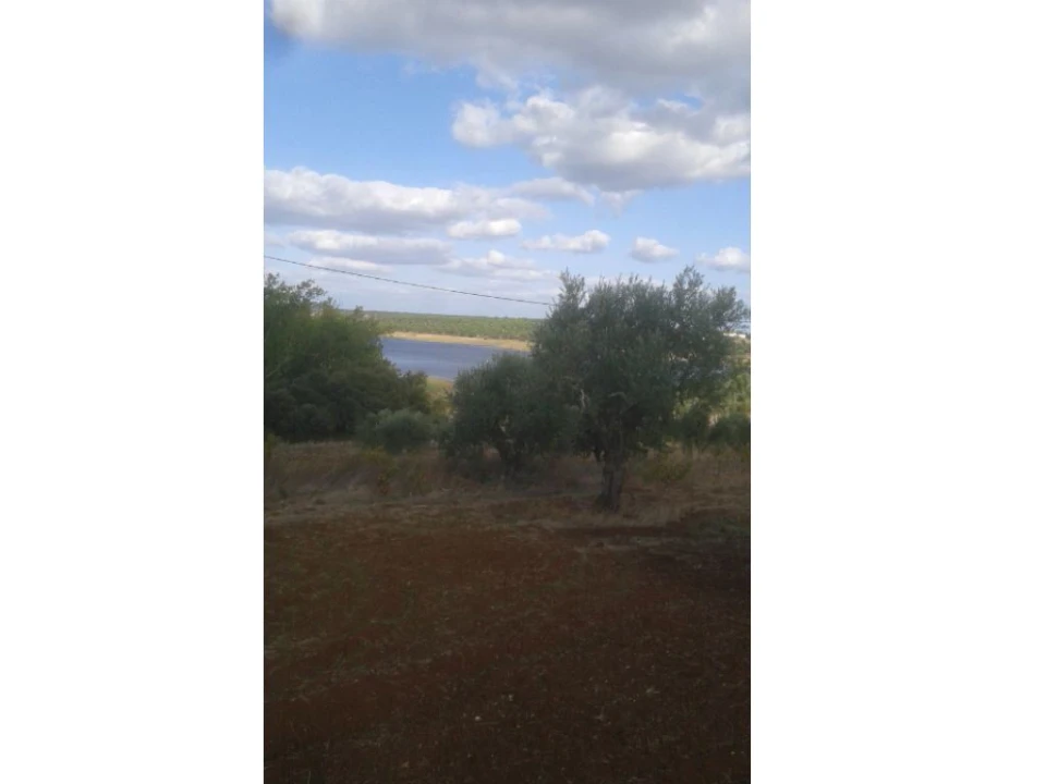 Terreno Agricola ou Rústico para Venda em Montargil Foto 3