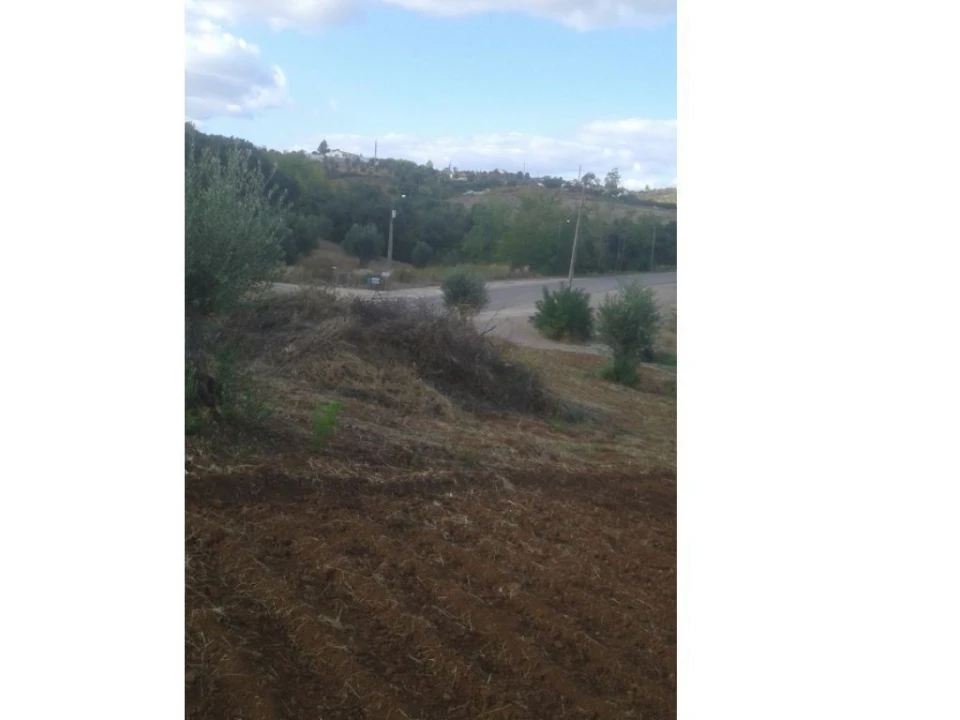 Terreno Agricola ou Rústico para Venda em Montargil Foto 19