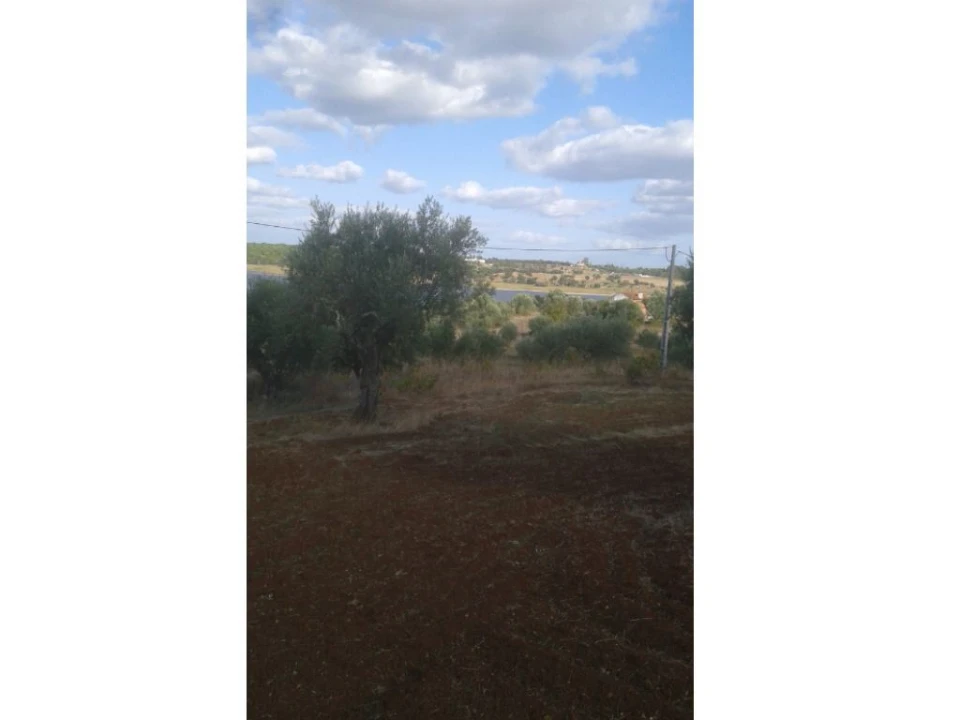 Terreno Agricola ou Rústico para Venda em Montargil Foto 20