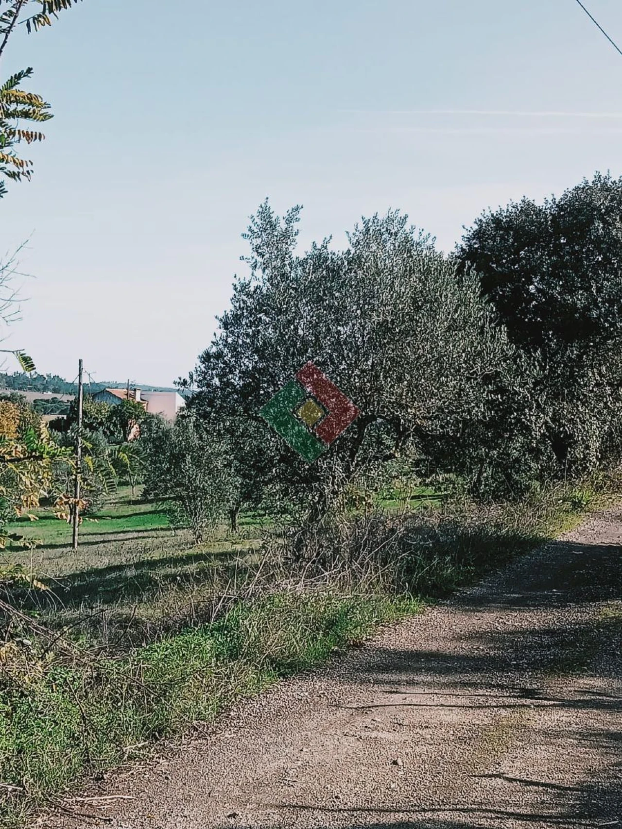 Terreno Agricola ou Rústico para Venda em Montargil Foto 4
