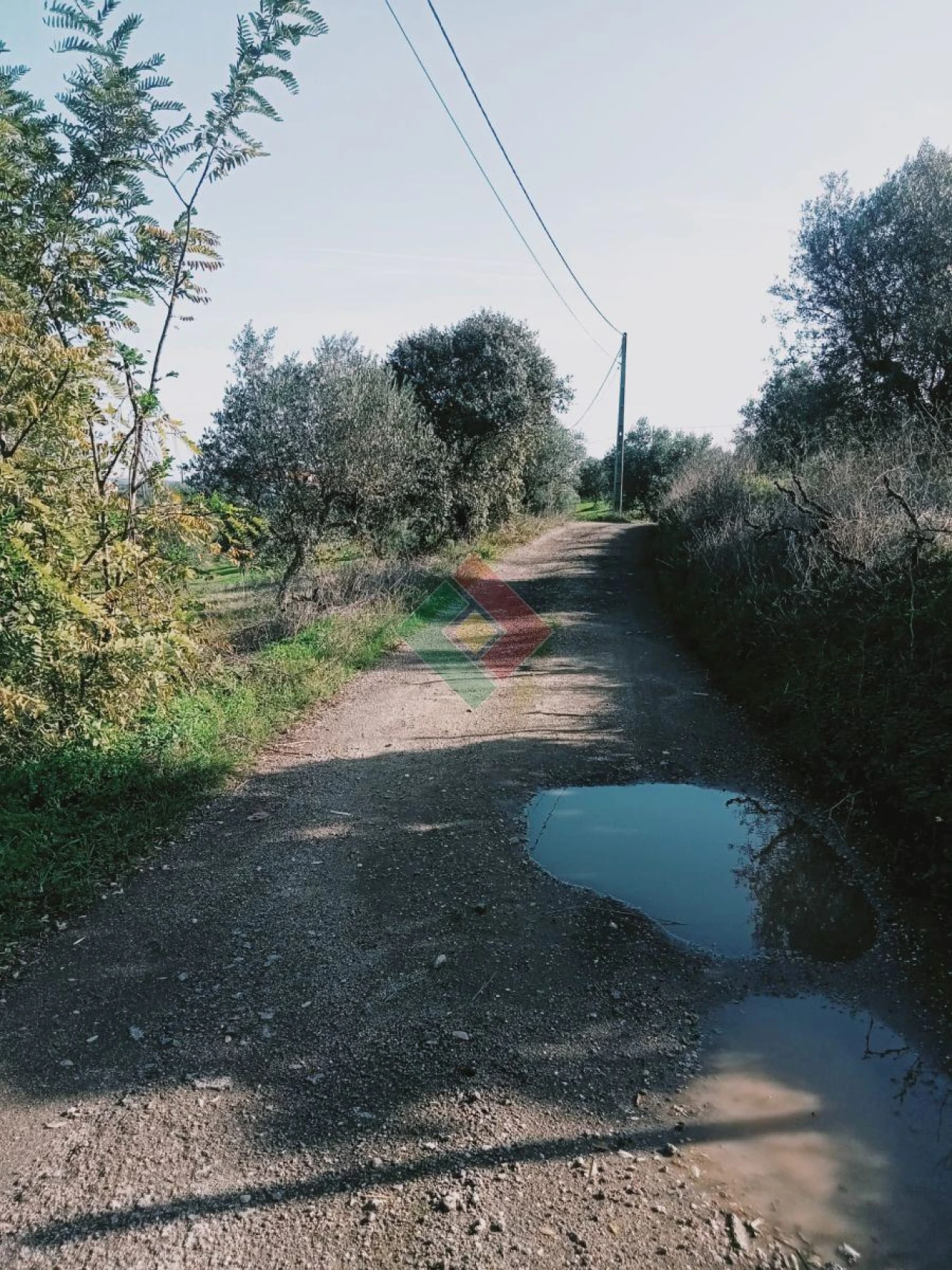 Terreno Agricola ou Rústico para Venda em Montargil Foto 5