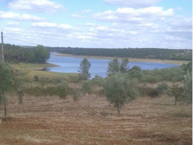 Terreno Agricola ou Rústico para Venda em Montargil Foto 1