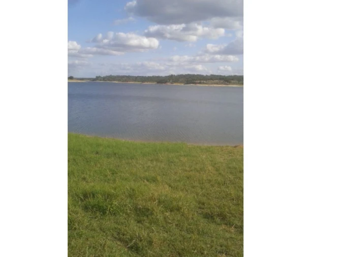 Terreno Agricola ou Rústico para Venda em Montargil Foto 7