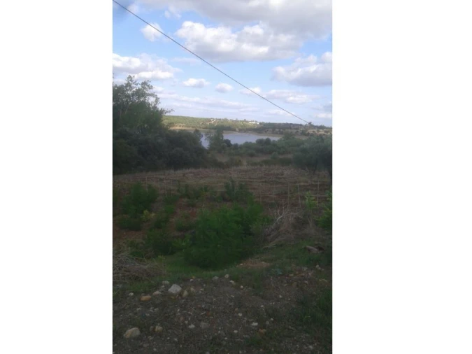 Terreno Agricola ou Rústico para Venda em Montargil Foto 9