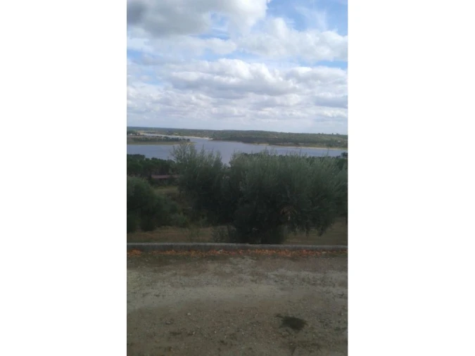 Terreno Agricola ou Rústico para Venda em Montargil Foto 10