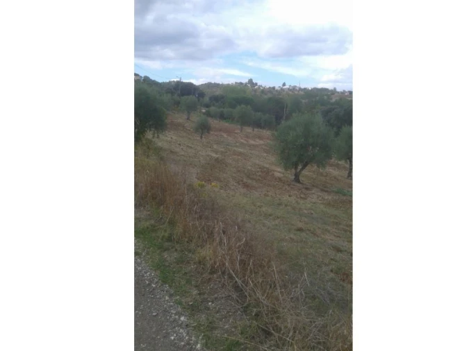 Terreno Agricola ou Rústico para Venda em Montargil Foto 17