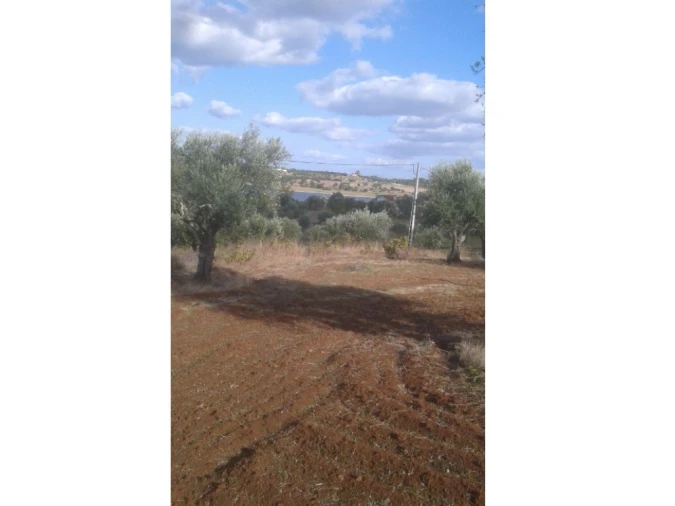 Terreno Agricola ou Rústico para Venda em Montargil Foto 18