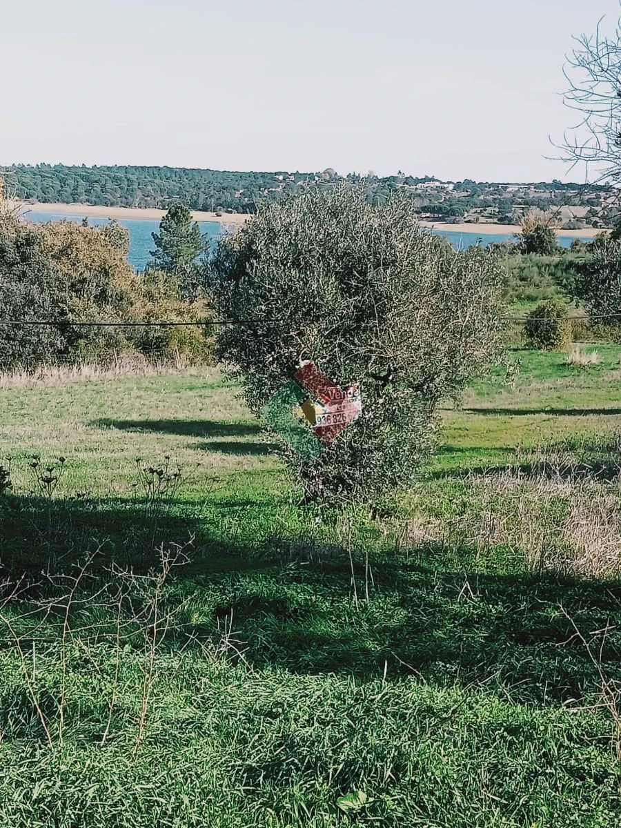 Terreno Agricola ou Rústico para Venda em Montargil Foto 2