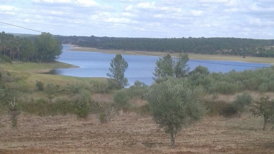 Terreno Agricola ou Rústico para Venda em Montargil