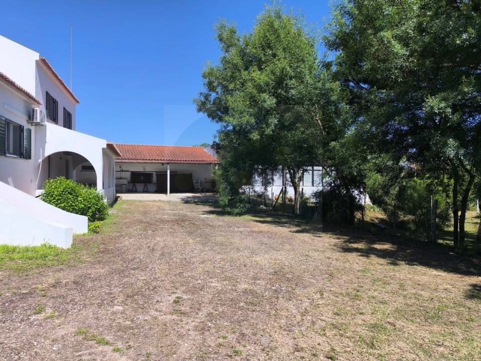 Quinta T4 para Venda em Alvega e Concavada Foto 12