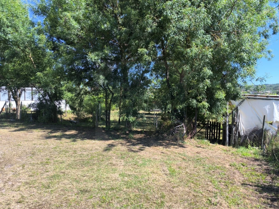 Quinta T4 para Venda em Alvega e Concavada Foto 14