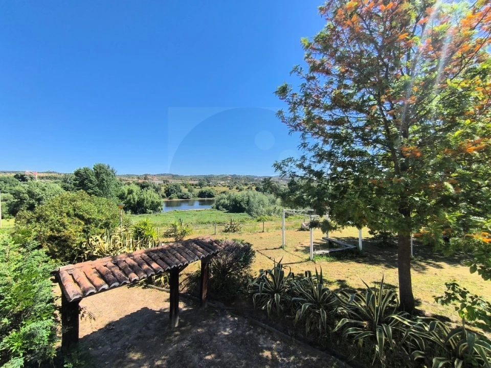 Quinta T4 para Venda em Alvega e Concavada Foto 34