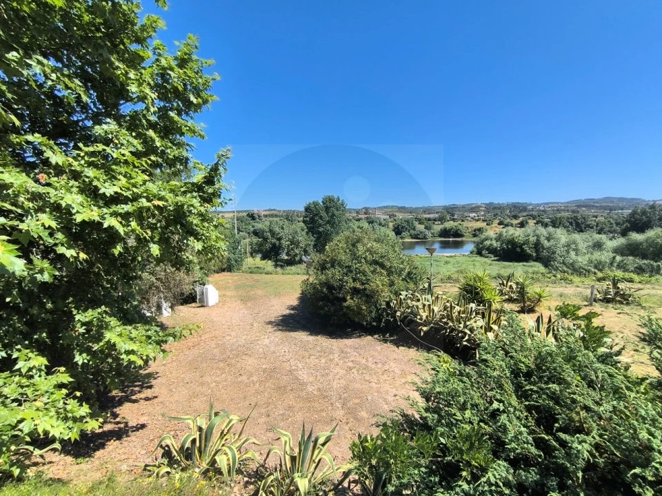 Quinta T4 para Venda em Alvega e Concavada Foto 35