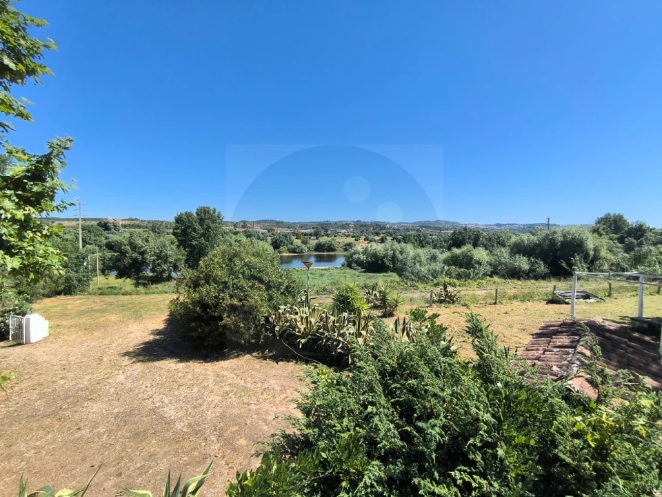 Quinta T4 para Venda em Alvega e Concavada Foto 37