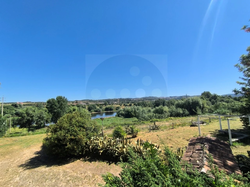 Quinta T4 para Venda em Alvega e Concavada Foto 39