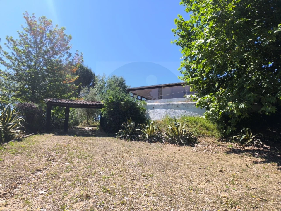 Quinta T4 para Venda em Alvega e Concavada Foto 46