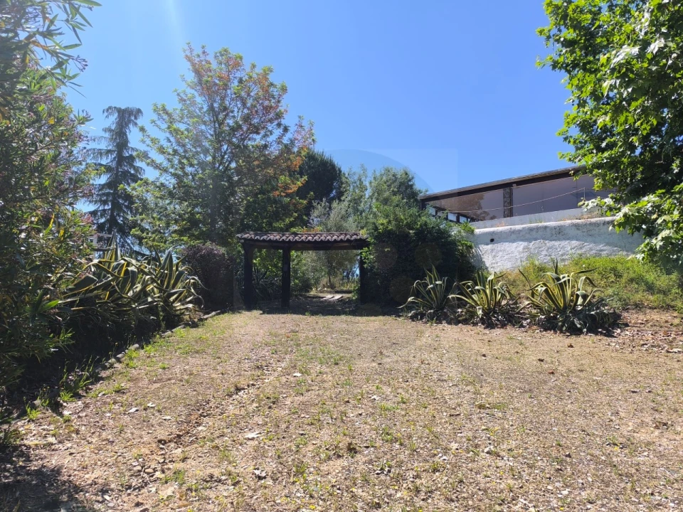 Quinta T4 para Venda em Alvega e Concavada Foto 48