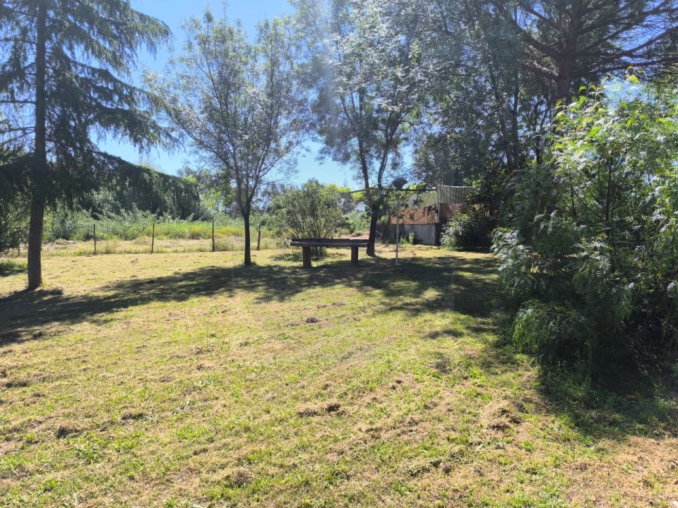 Quinta T4 para Venda em Alvega e Concavada Foto 54