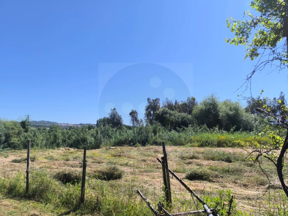 Quinta T4 para Venda em Alvega e Concavada Foto 56