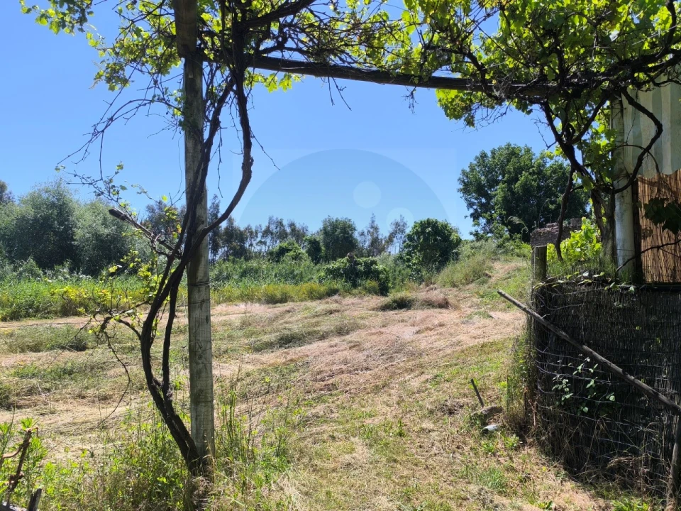 Quinta T4 para Venda em Alvega e Concavada Foto 58