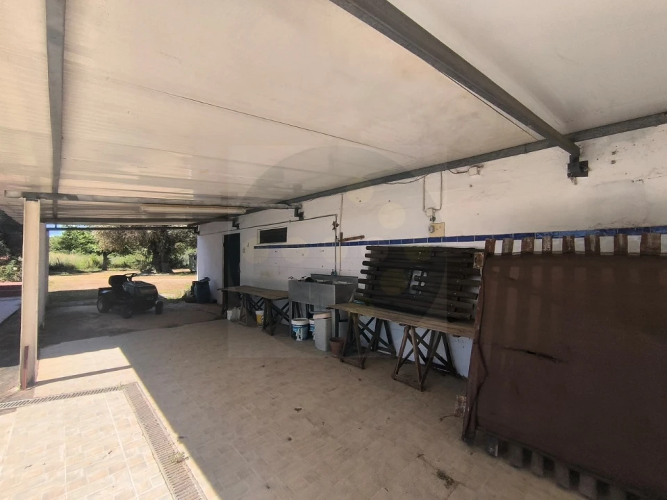 Quinta T4 para Venda em Alvega e Concavada Foto 59