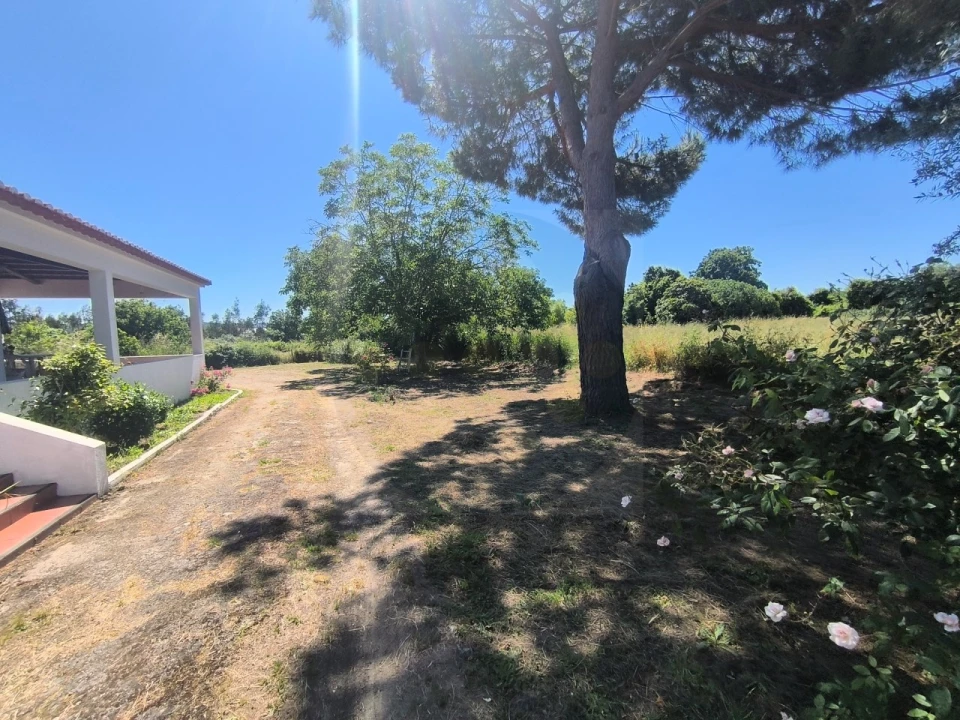 Quinta T4 para Venda em Alvega e Concavada Foto 62