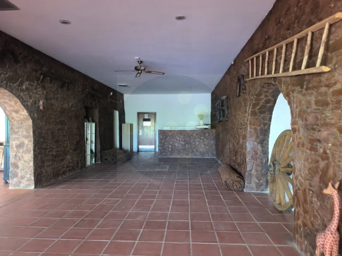 Quinta T4 para Venda em Alvega e Concavada Foto 26