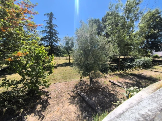 Quinta T4 para Venda em Alvega e Concavada Foto 33