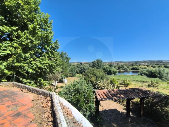 Quinta T4 para Venda em Alvega e Concavada Foto 36