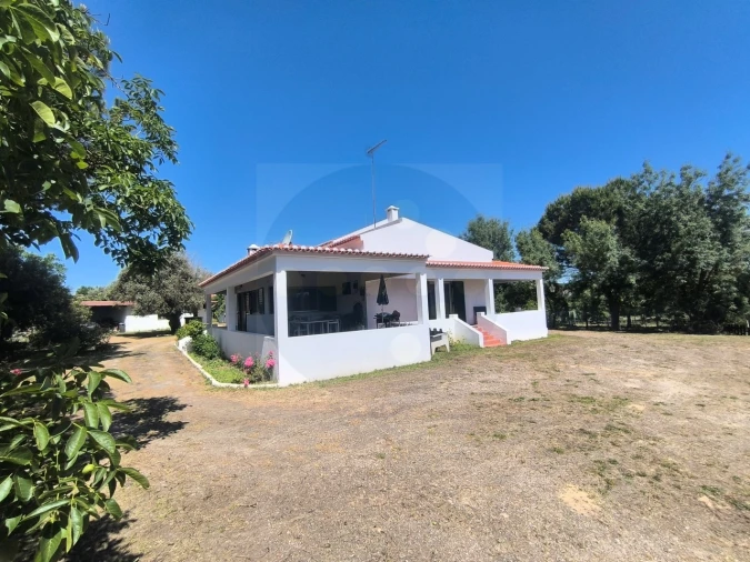 Quinta T4 para Venda em Alvega e Concavada Foto 43