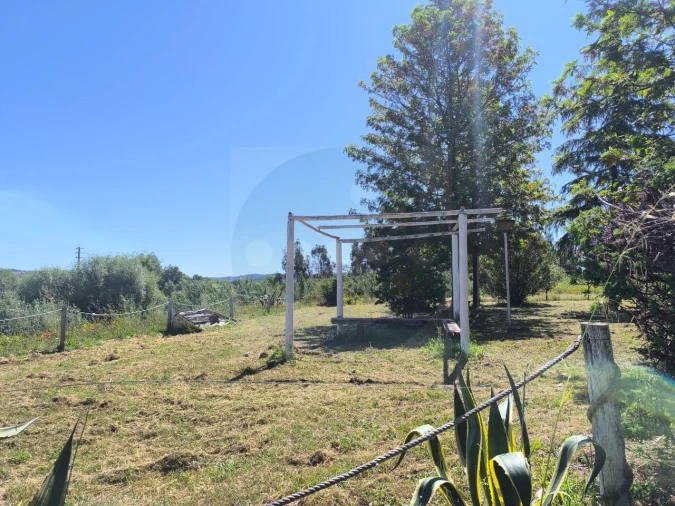 Quinta T4 para Venda em Alvega e Concavada Foto 47