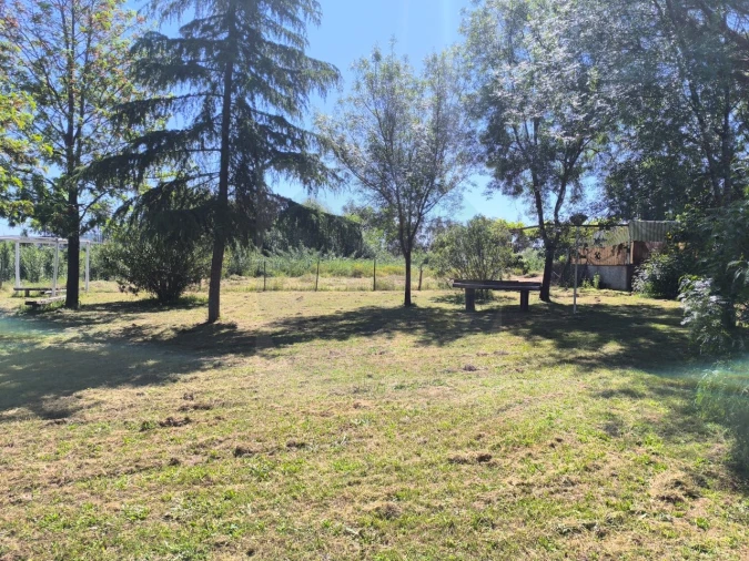 Quinta T4 para Venda em Alvega e Concavada Foto 50