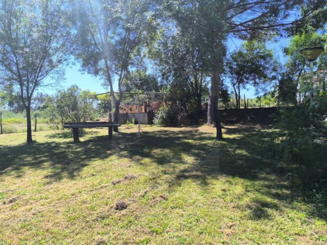 Quinta T4 para Venda em Alvega e Concavada Foto 53