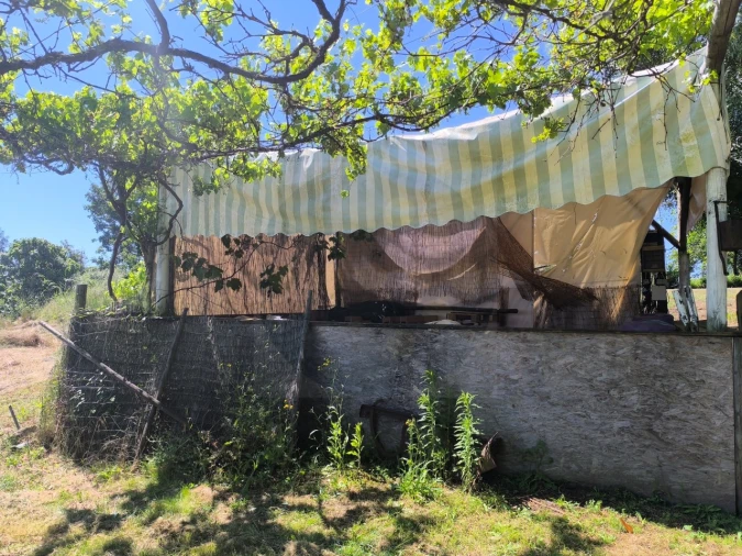 Quinta T4 para Venda em Alvega e Concavada Foto 55