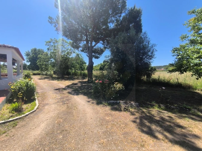 Quinta T4 para Venda em Alvega e Concavada Foto 61