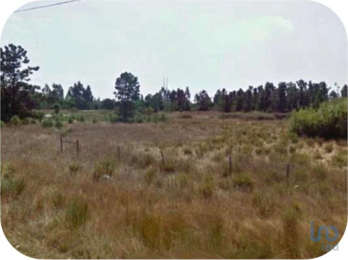 Terreno para Venda em Pegões Foto 7